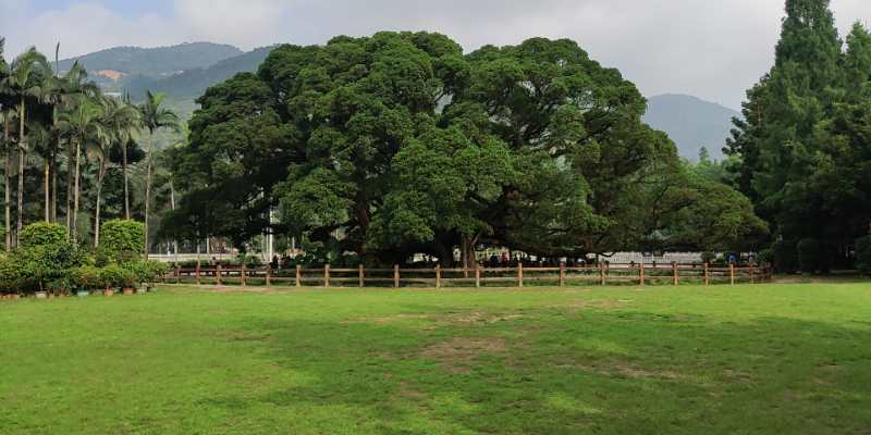 福州英諾科技全體員工于福州國家森林公園開展團建活動